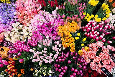 暴雪调查《守望先锋2》bug 导致玩家PC关机或重启